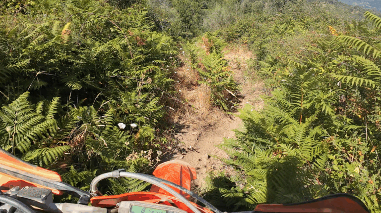 Férias de enduro em Portugal