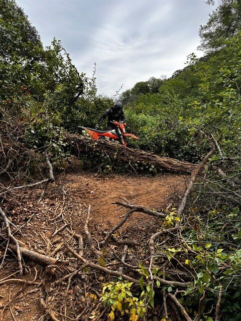 An enduro rider negotiating fallen branches on a wooded Algarve trail