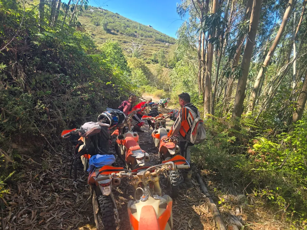 Enduro riders and KTM motorcycles stopped on a shaded woodland trail